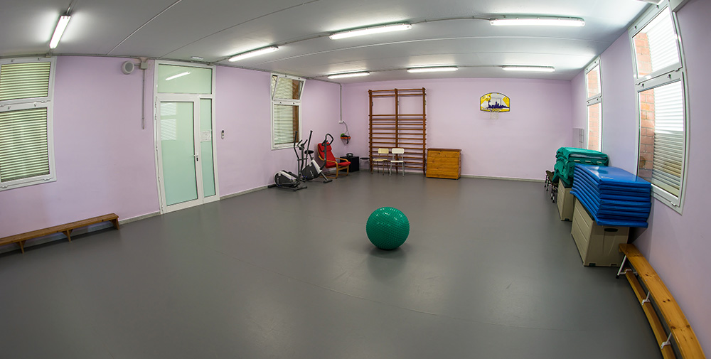 taller_ocupacional_gimnasio Gimnasio del Taller Ocupacional Tiana
