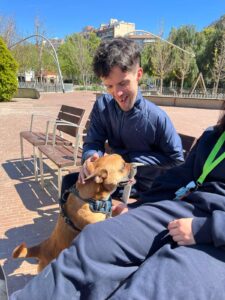 Activitat amb gossos